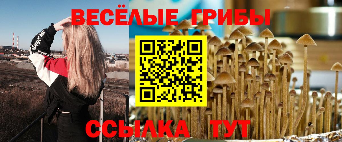 Кашира  Галлюциногенные грибы Magic Shrooms  Псилоцибиновые грибы прущие грибы  Вход с VPN 