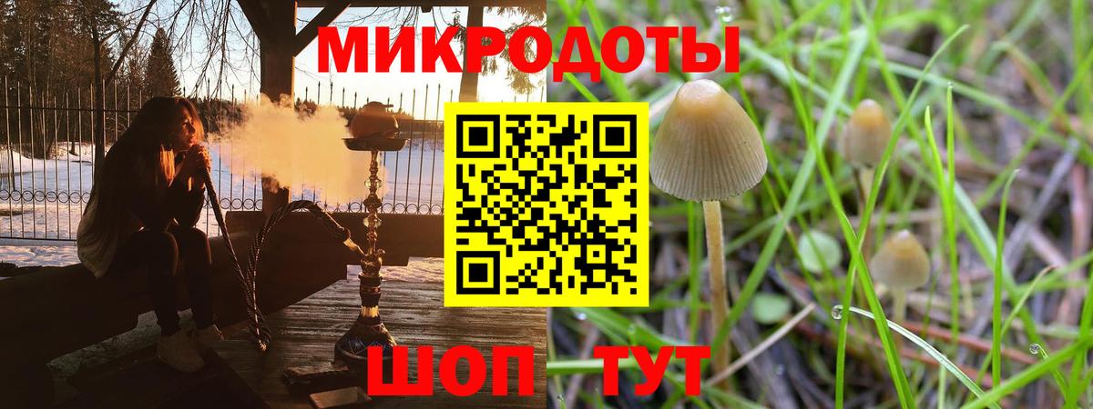 Псилоцибиновые грибы мицелий Кашира